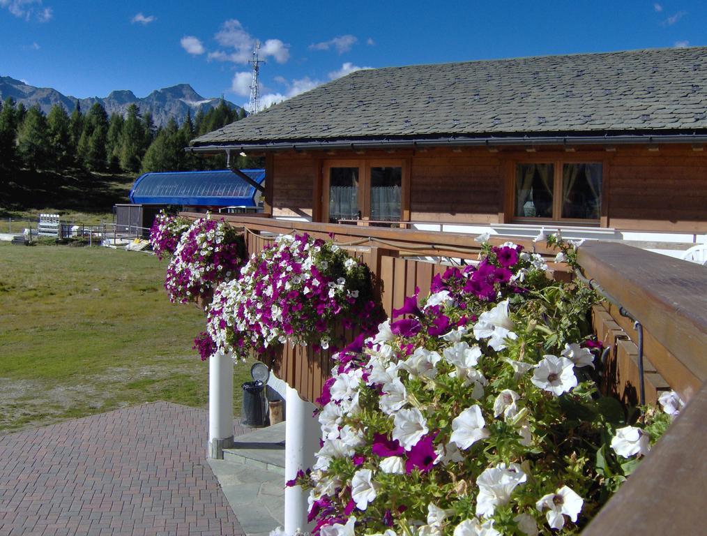 Albergo Bucaneve Campodolcino Exteriör bild
